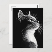 Carte Postale Élégant chat (Devant / Derrière)