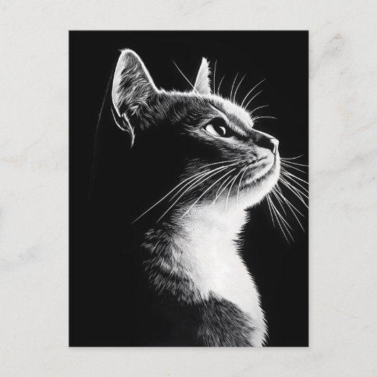 Carte Postale Élégant chat (Devant)