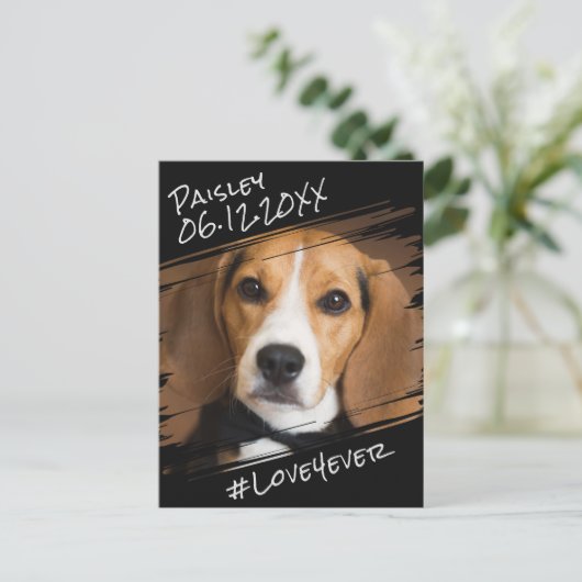 Carte Postale Élégant Chic Moderne Simple Souvenir de Chien Noir (Debout devant)