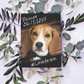 Carte Postale Élégant Chic Moderne Simple Souvenir de Chien Noir