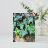 Carte Postale Élégant classique vert ivoire et pierre de campagn (Debout devant)