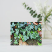 Carte Postale Élégant classique vert ivoire et pierre de campagn (Debout devant)