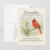 Carte Postale Élégant Décembre Écriture Chrétien Cardinal (Devant / Derrière)
