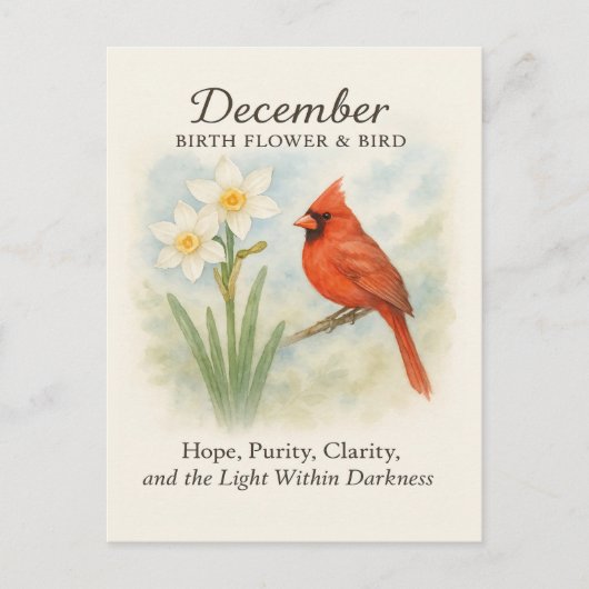 Carte Postale Élégant Décembre Écriture Chrétien Cardinal (Devant)