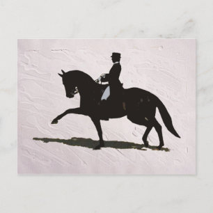 Carte Postale Élégant Dressage Horse & Rider