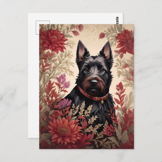 Carte Postale Elégant écossais Terrier Portrait de chien (Devant / Derrière)