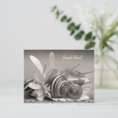 Carte Postale Elégant escargots de jardin sur Gerber Daisy Flowe (Debout devant)