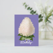 Carte Postale Élégant Hydrangea Paniculata Anniversaire Vintage (Debout devant)