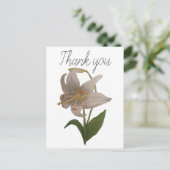 Carte Postale Élégant Merci Vintage blanc Lily (Debout devant)