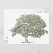 Carte Postale Élégant Modèle graphique de l'arbre de mariage (Devant / Derrière)
