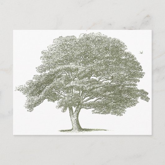 Carte Postale Élégant Modèle graphique de l'arbre de mariage (Devant)