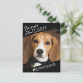 Carte Postale Élégant Moderne Simple Chien Noir Objet de Collect (Debout devant)