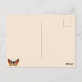 Carte Postale Elegant Moth Autumn Foliage Navy Blue Christmas (Dos)