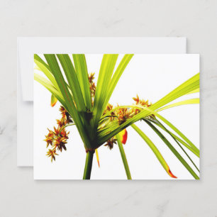 Carte Postale Élégant Motif botanique