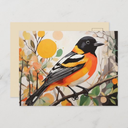 Carte Postale Elégant oiseau de printemps Baltimore Oriole (Devant / Derrière)