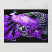 CARTE POSTALE ÉLÉGANT PEACOCK EN PURPLE VIOLET NOIR (Devant)