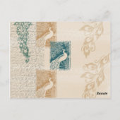 Carte Postale Elégant Peacocks Numéro de tableau (Dos)