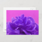 Carte Postale Elegant Purple Raspberry Floral (Devant / Derrière)
