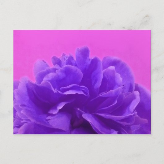 Carte Postale Elegant Purple Raspberry Floral (Devant)