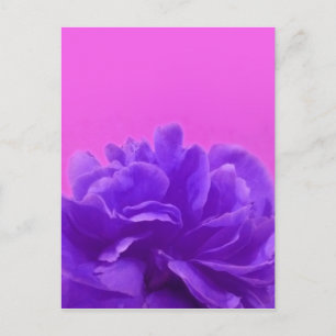 Carte Postale Elegant Purple Raspberry Floral