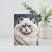 Carte Postale Élégant Ragdoll Chat Portrait Oeil Bleu (Debout devant)