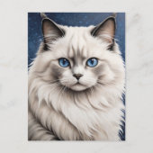Carte Postale Élégant Ragdoll Chat Portrait Oeil Bleu (Devant)