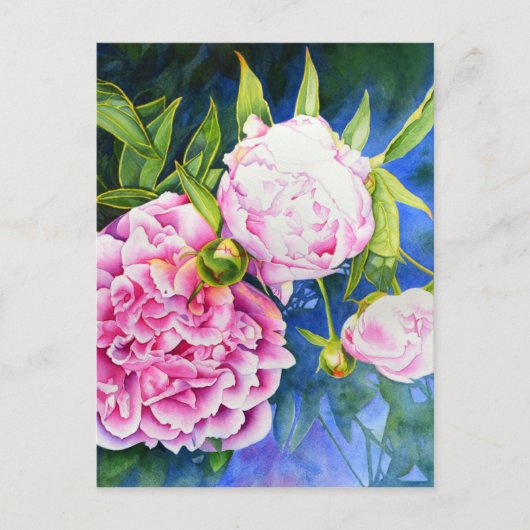 Carte Postale Elégant rose blanc classique aquarelle floral (Devant)