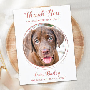 Carte Postale Elégant Rose Gold Pet Chien Mariage Merci