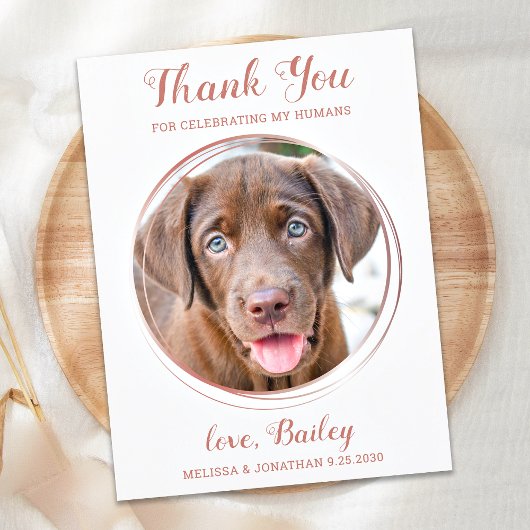 Carte Postale Elégant Rose Gold Pet Chien Mariage Merci