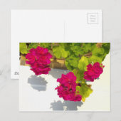 Carte Postale Élégant rose magenta rouge fleurs florales (Devant / Derrière)