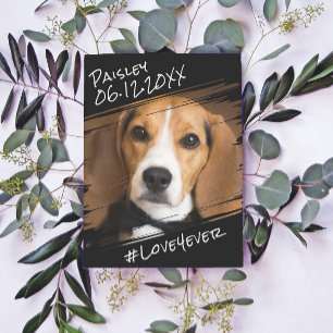 Carte Postale Élégant Simple Chic Moderne Mémoire de Chien Noir 