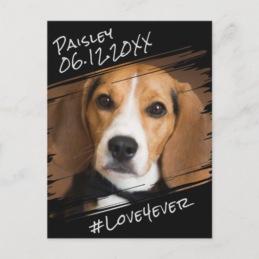 Carte Postale Élégant Simple Moderne Chic Cadeau pour Chien Noir (Devant)