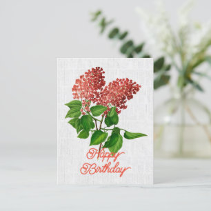 Carte Postale Élégant Syringa Vulgaris Floral Anniversaire Vinta