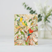 Carte Postale Élégant Vintage Oiseaux tropicaux Parrots (Debout devant)