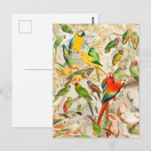 Carte Postale Élégant Vintage Oiseaux tropicaux Parrots (Devant / Derrière)