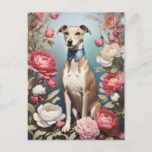 Carte Postale Elégant Whippet rose Peony Flowers Arrière - plan (Devant)