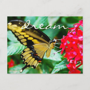 Carte Postale Elegant yellow black butterfly photo dream script