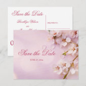 Carte postale élégante à motif de fleurs de cerisi (Devant / Derrière)