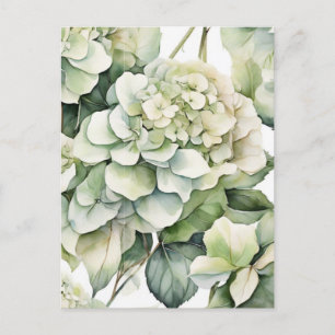 Carte Postale Elégante aquarelle blanche vert hydrangée florale