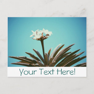 Carte postale élégante avec fleur blanche et plant
