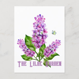 Carte Postale Élégante branche lilas aquarelle