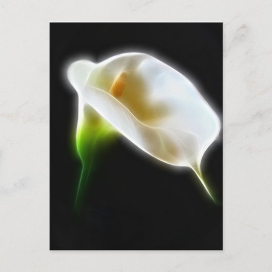 Carte Postale Elégante Calla Lily Fleurs 3 Modernes (Devant)