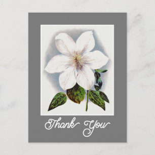 Carte Postale Élégante Clematis Henryi Fleur Vintage Merci