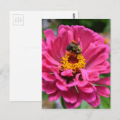 Carte Postale Elégante fleur rose fleur maman fleur marguerite a (Devant / Derrière)