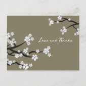 Carte Postale Élégante Fleurs de cerises blanches Sakura Love & (Devant)