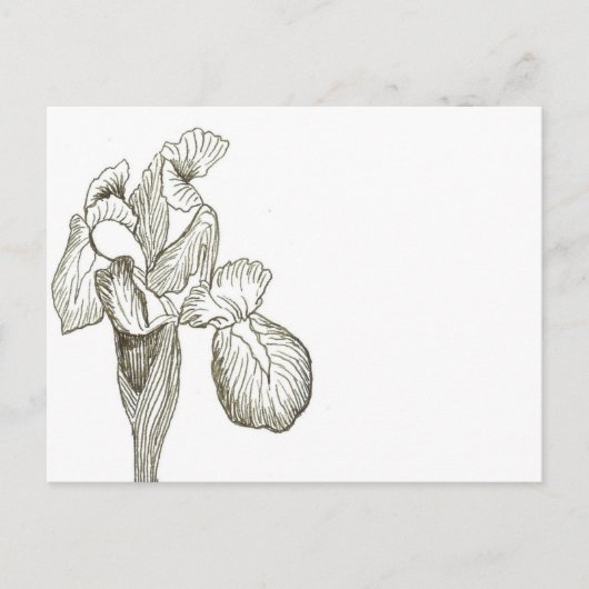 Carte postale élégante Iris (Devant)