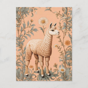 Carte Postale Élégante Lama et Fleurs de marguerite sur la pêche