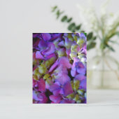 Carte Postale Elégante magenta rose violet foncé hydrangées flor (Debout devant)