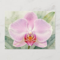 Élégante orchidée rose aquarelle botanique florale