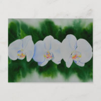 Elégante peinture d'orchidée tropicale blanche